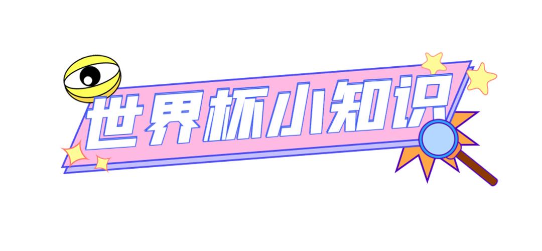 世界杯是什么意思_足球项目_世界杯看什么比赛
